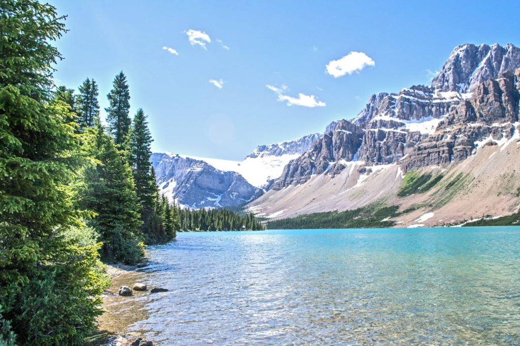 a lake by the forest