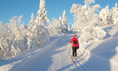 Cross-country Skiing in Verbier