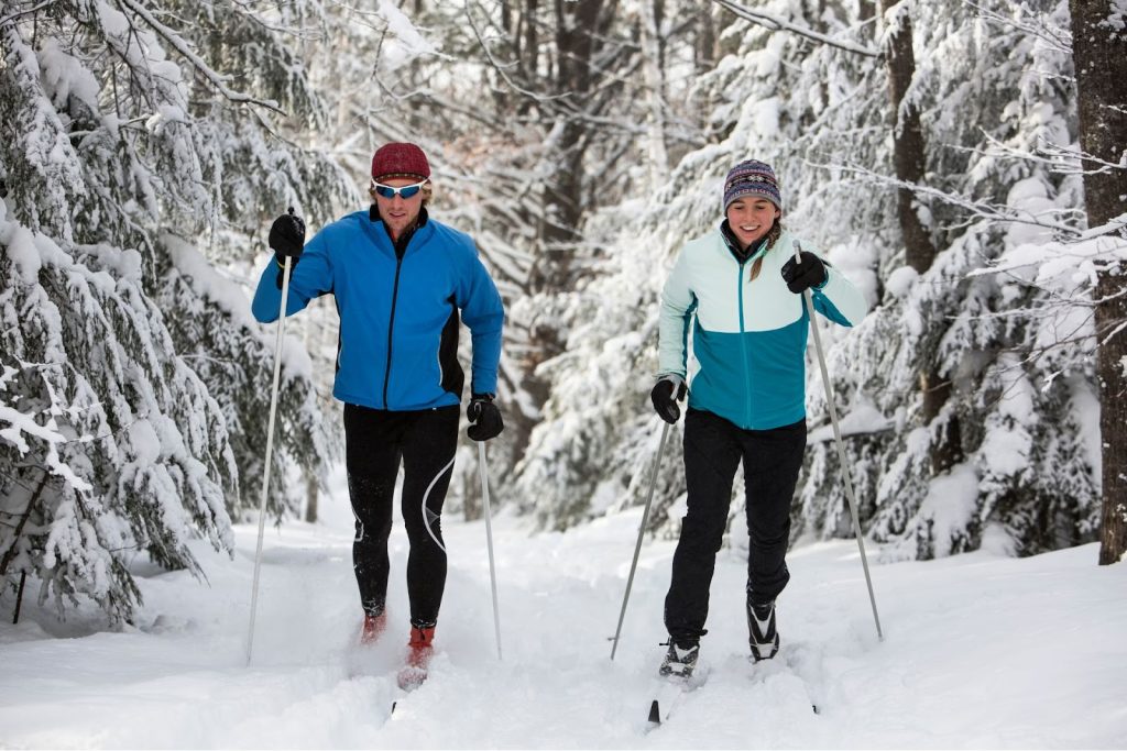 two people doing Nordic skiing