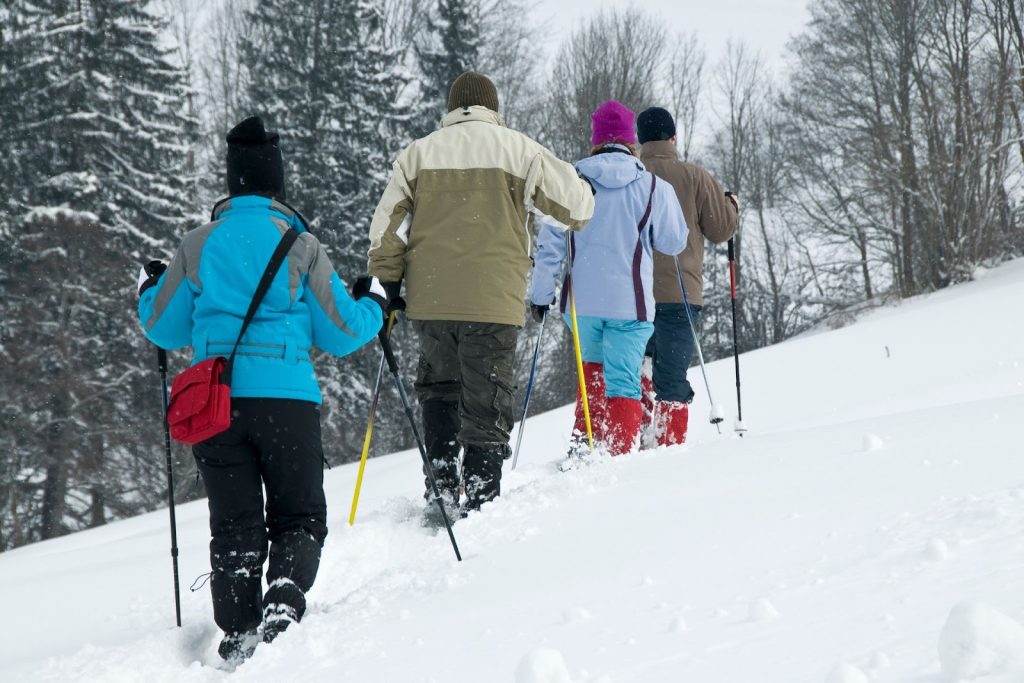 four people snowshoeing in a forest