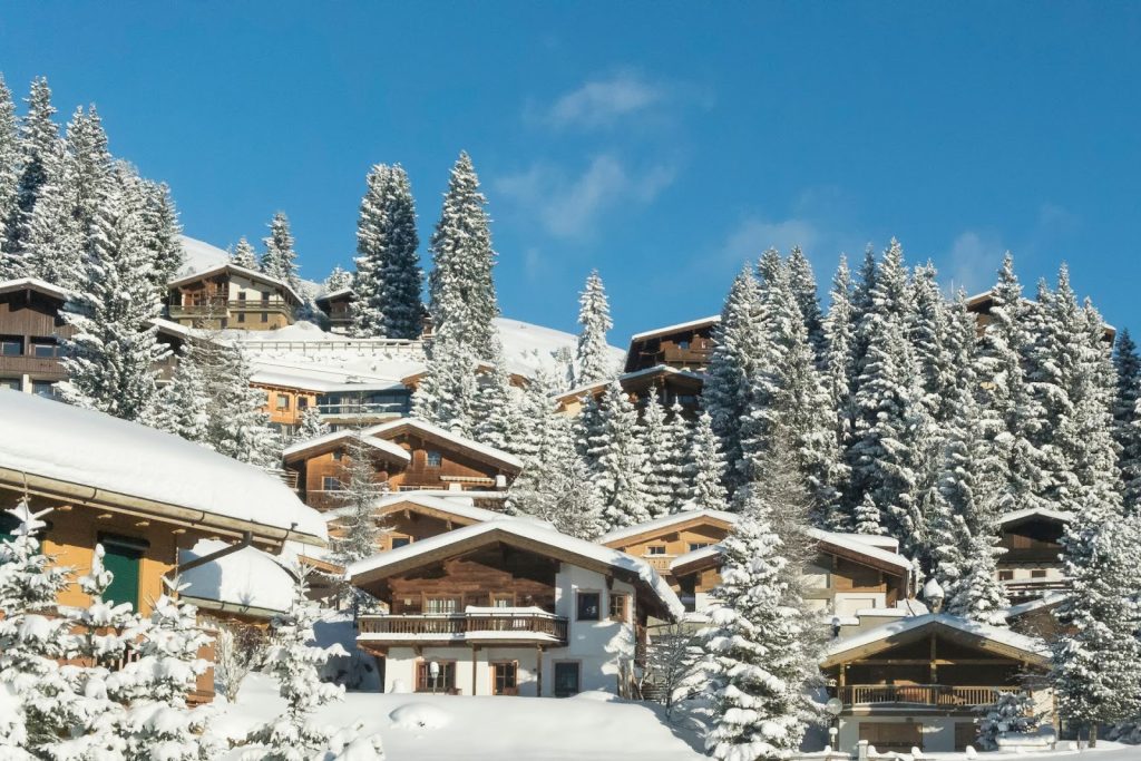 trees and houses covered in snow